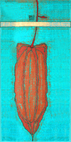 One Hot Pepper