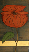 Red Orchid