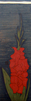 Red Gladiola