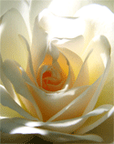 Unfolding Light