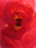 Glowing Crimson