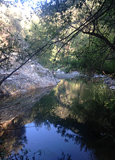 LD05: Matilija Creek Pool