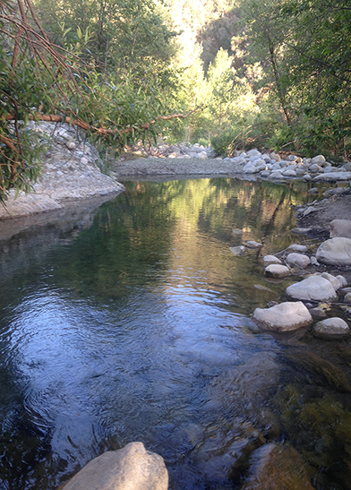 LD06: Matilija Creek Pool II