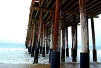 Under the Pier