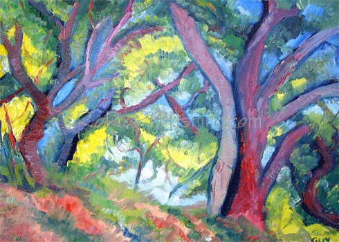 Ojai Oak Forest