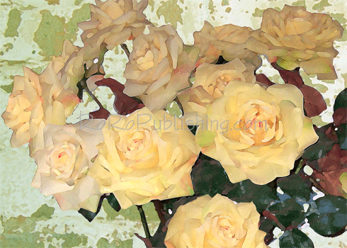 Yellow Roses