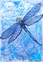 Blue Dragonfly