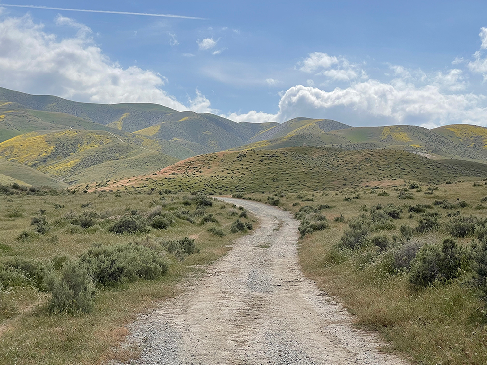 Road through Taft Hills